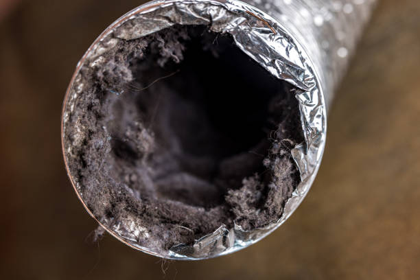 Best Duct Cleaning for Offices  in Kings Beach, CA